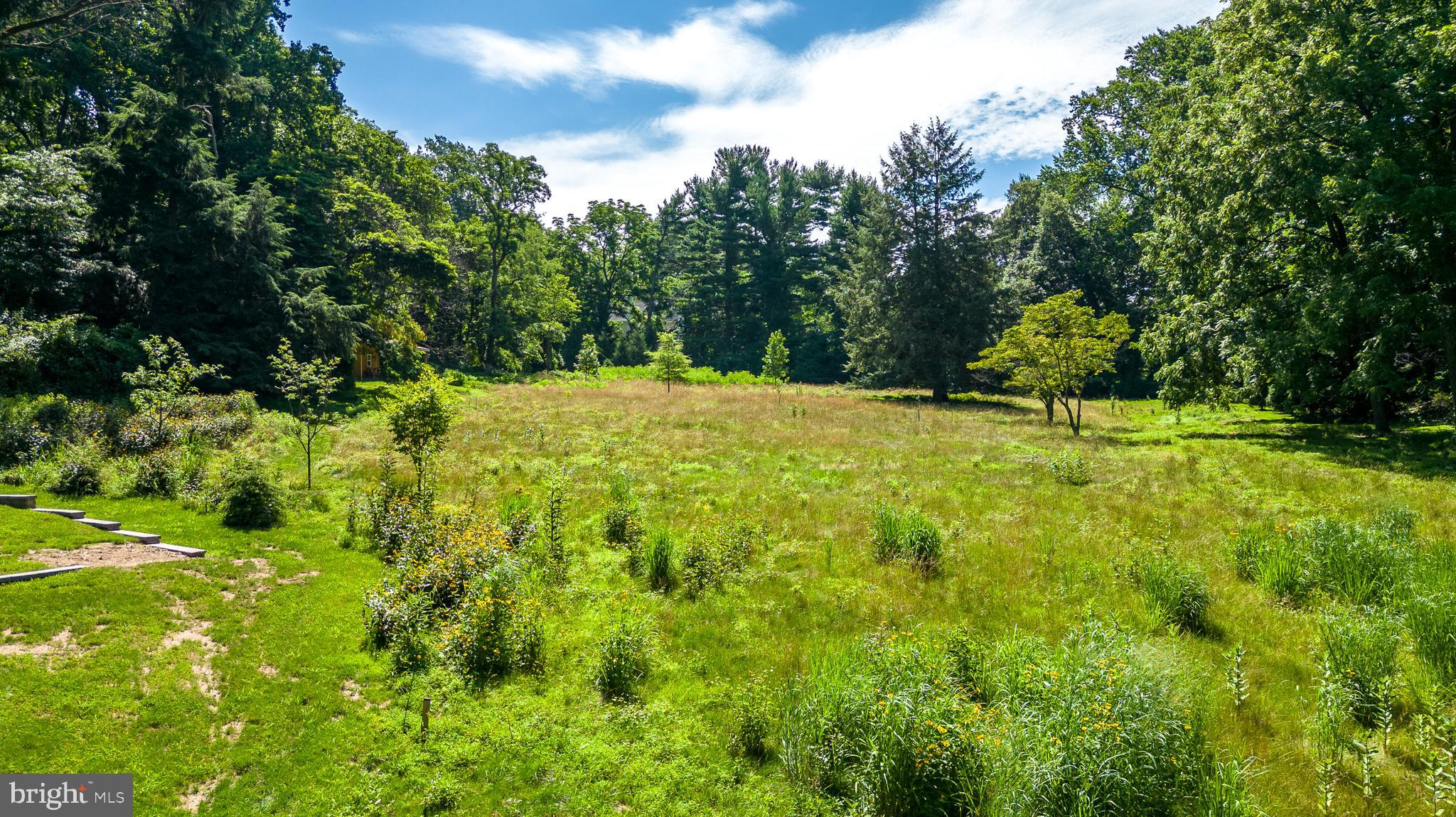 876 Brower Road Wayne, PA 19087 - Photo 9 of 59 Meadow/Grounds - Path to the Covered Shed