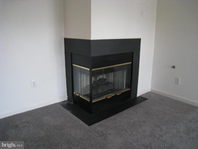 2441 Blue Spring Court, Unit 302 Odenton, MD 21113 - Photo 14 of 16 Fireplace