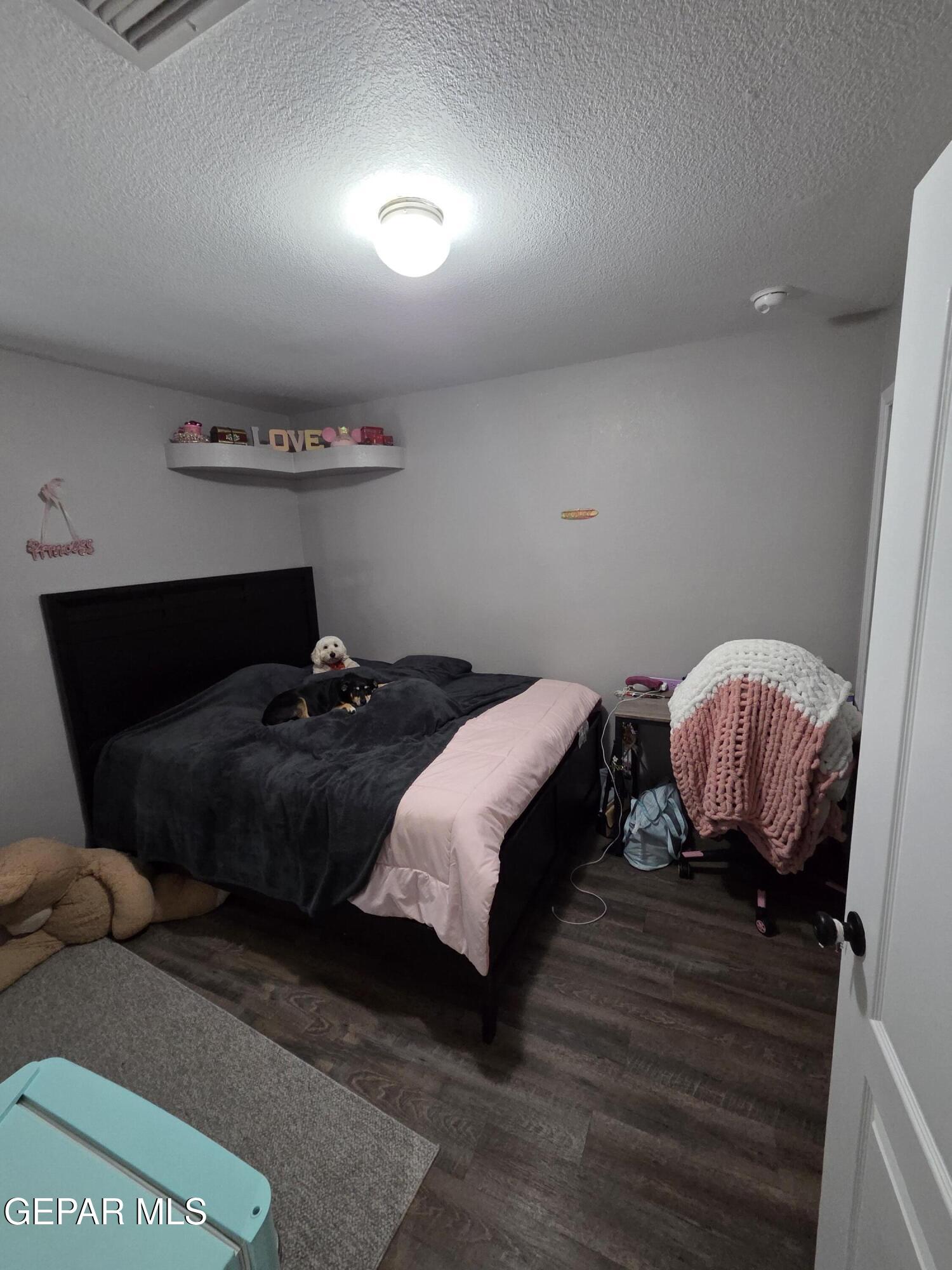 14227 Ranier Point Drive El Paso, TX 79938 - Photo 41 of 45 20260919_123053