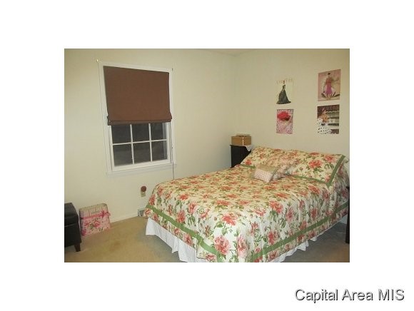 2336 Bates Avenue Springfield, IL 62704 - Photo 9 of 20 Gallery Image 9
