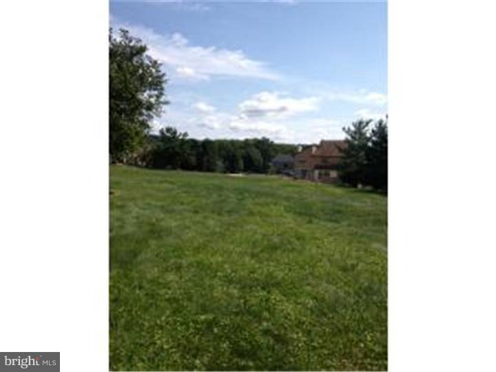 723 Signal Hill Road Dresher, PA 19025 - Photo 3 of 3 Back Yard