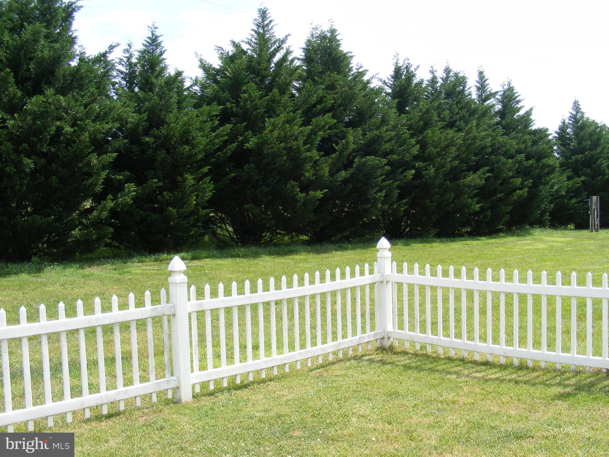516 Thumper Drive Ranson, WV 25438 - Photo 3 of 38 Fenced backyard