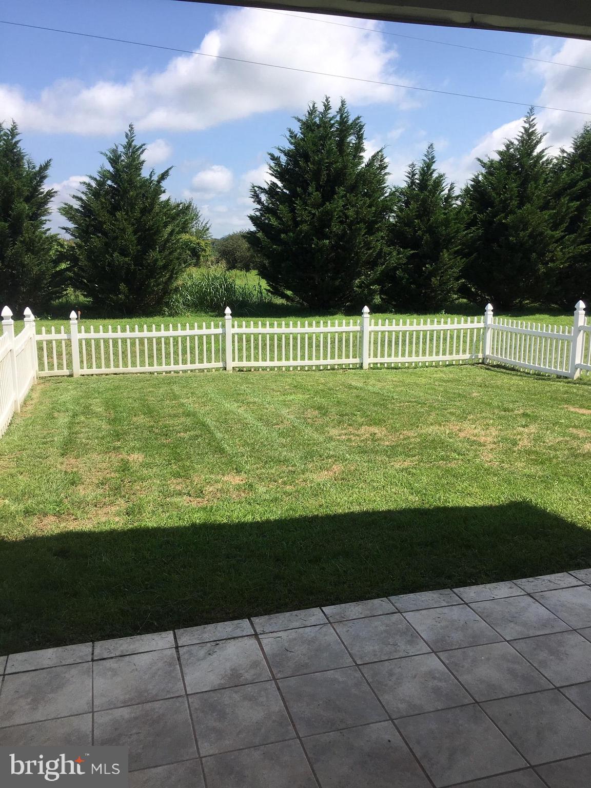 516 Thumper Drive Ranson, WV 25438 - Photo 33 of 38 fenced in yard
