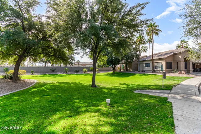 a view of yard with tree s