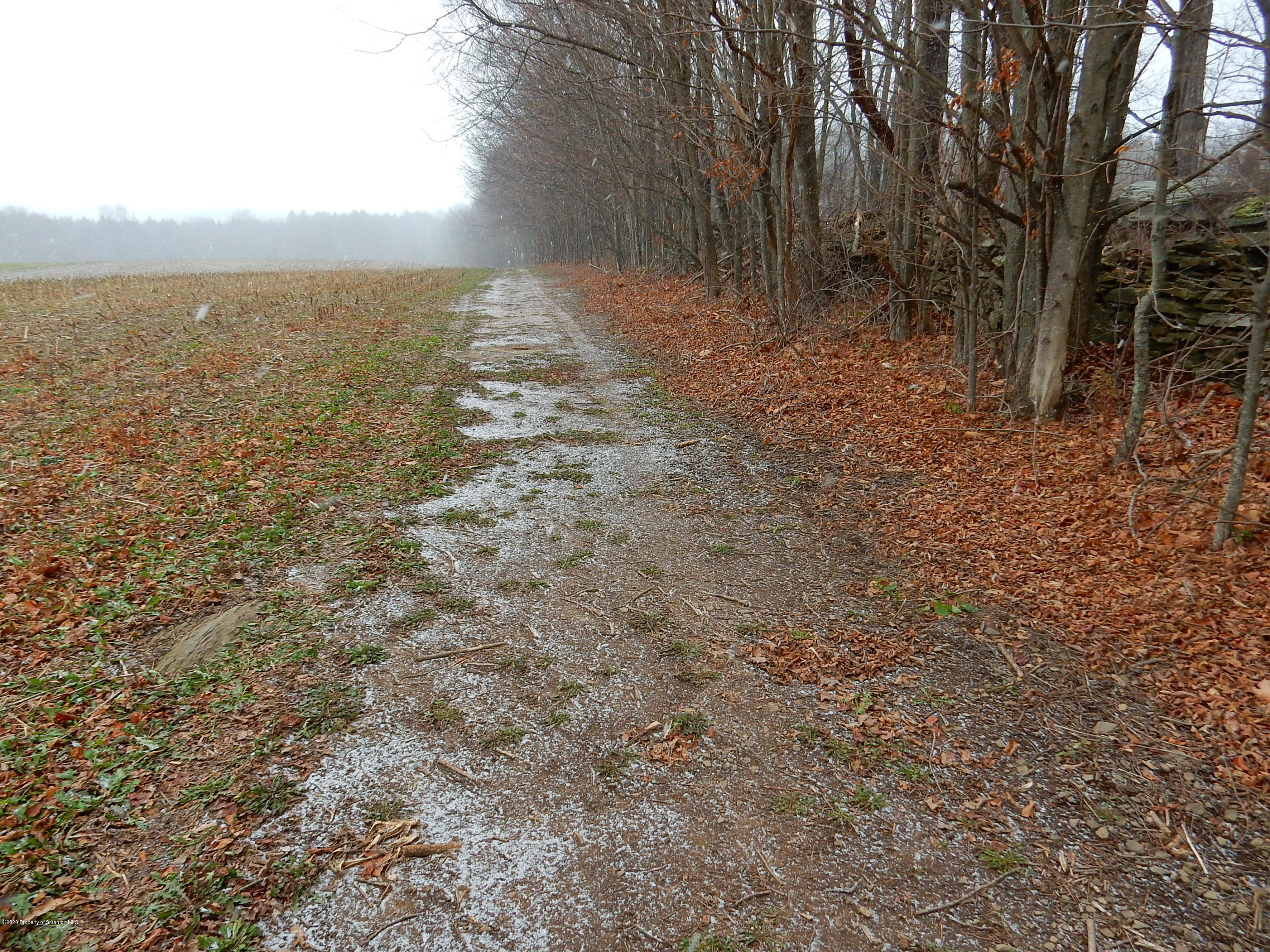 Lot 2 Matechak Road Jermyn, PA 18433 - Photo 8 of 9 DSCN6648