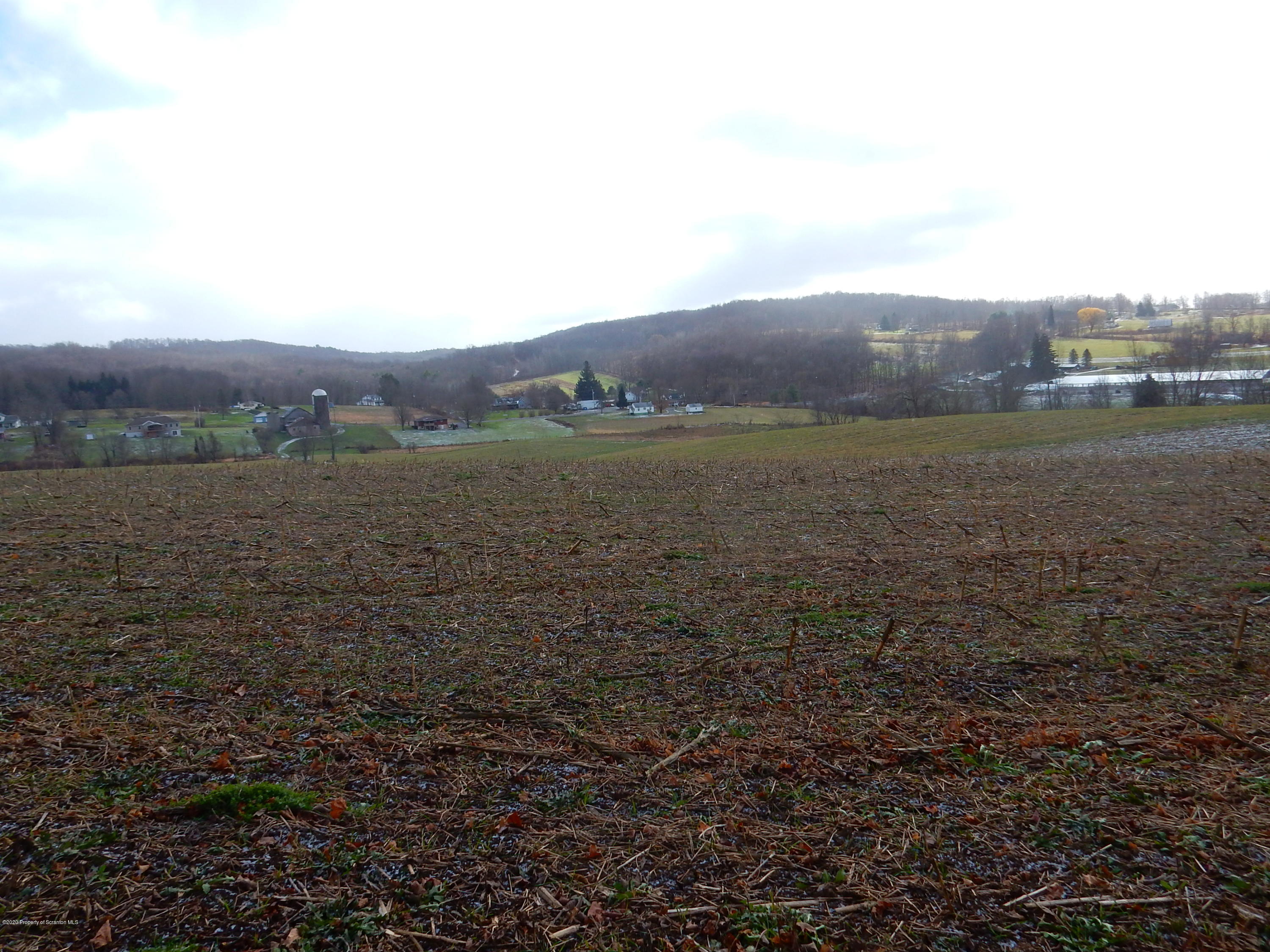Lot 2 Matechak Road Jermyn, PA 18433 - Photo 9 of 9 DSCN6649