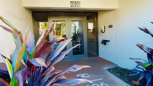 a view of an entryway with a flower pot