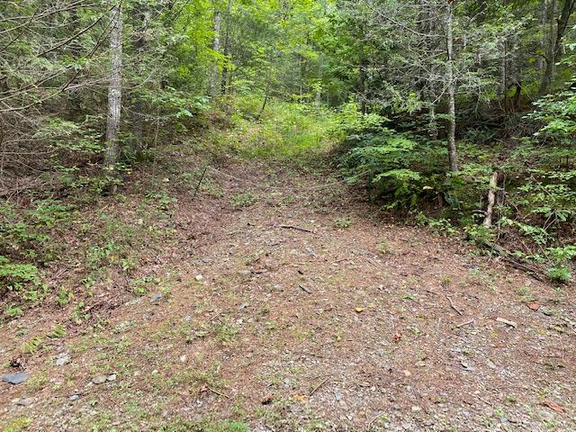 Bluestone Way Townsend, TN 37882 - Photo 1 of 7 Driveway