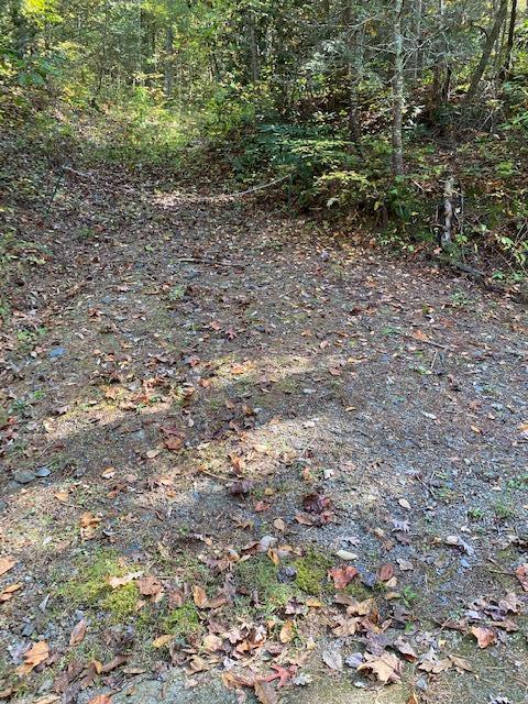 Bluestone Way Townsend, TN 37882 - Photo 2 of 7 Driveway view from the road