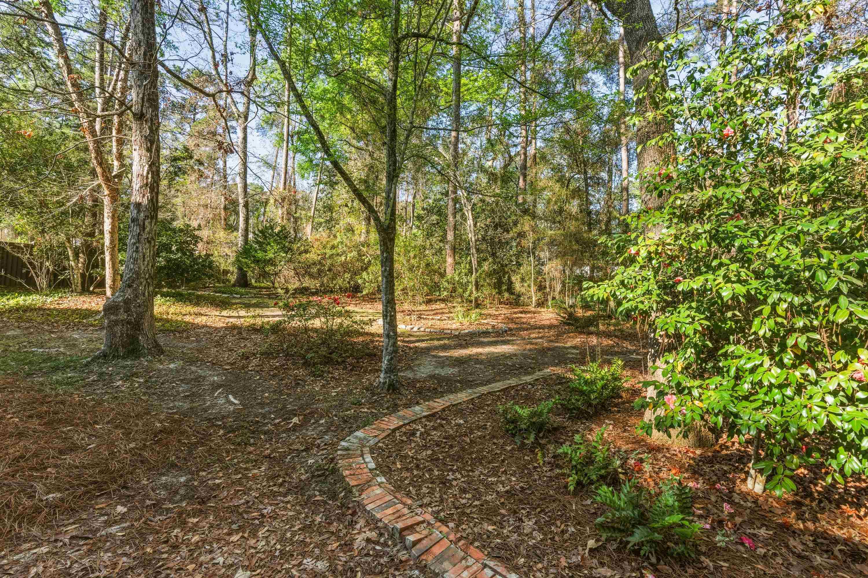 3505 Cherokee Ridge Trail Tallahassee, FL 32312 - Photo 5 of 39 Gallery Image 5