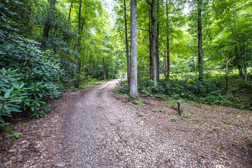 1670 Morgan Creek Road Marble, NC 28905 - Photo 70 of 75