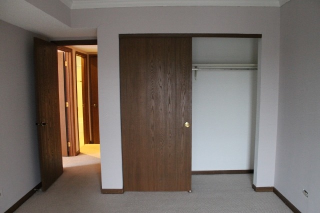 520 Biesterfield Road, Unit 313 Elk Grove Village, IL 60007 - Photo 11 of 13