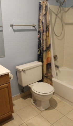 520 Biesterfield Road, Unit 313 Elk Grove Village, IL 60007 - Photo 12 of 13