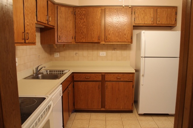 520 Biesterfield Road, Unit 313 Elk Grove Village, IL 60007 - Photo 4 of 13
