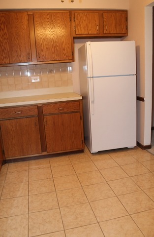 520 Biesterfield Road, Unit 313 Elk Grove Village, IL 60007 - Photo 5 of 13