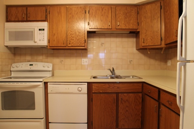 520 Biesterfield Road, Unit 313 Elk Grove Village, IL 60007 - Photo 6 of 13