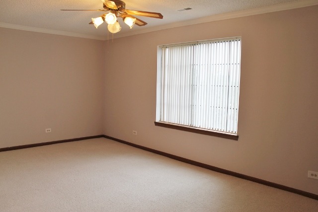 520 Biesterfield Road, Unit 313 Elk Grove Village, IL 60007 - Photo 7 of 13