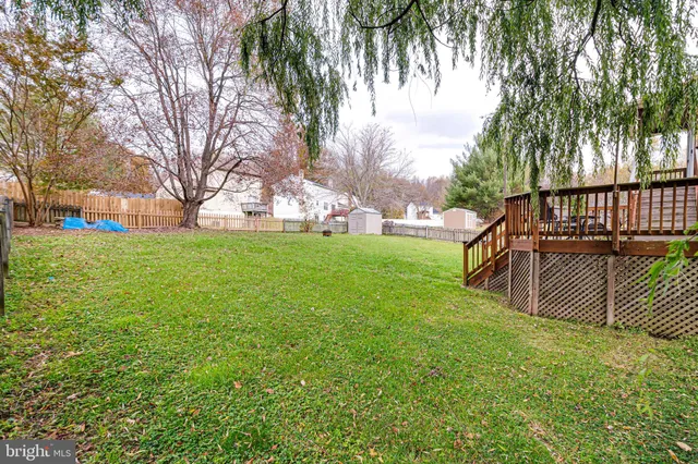 a view of a yard with large trees