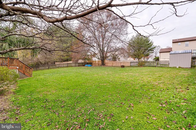a view of a yard with a tree