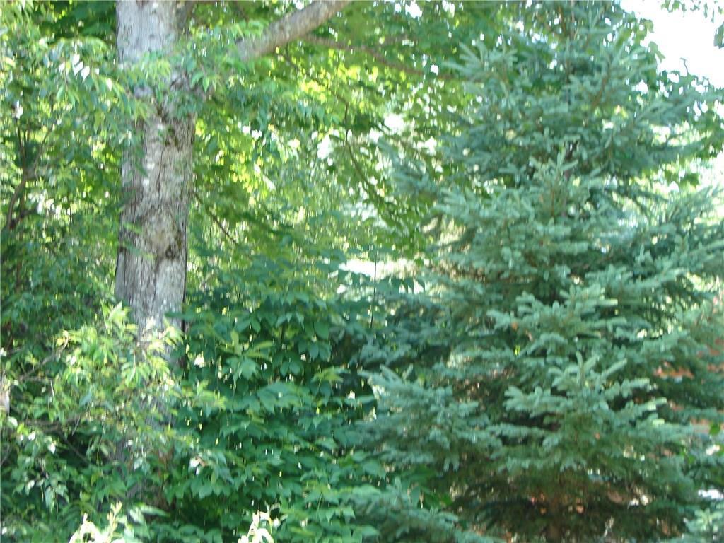 Lot 4 Moosehorn Road Abbot, ME 04406 - Photo 2 of 3 Photo