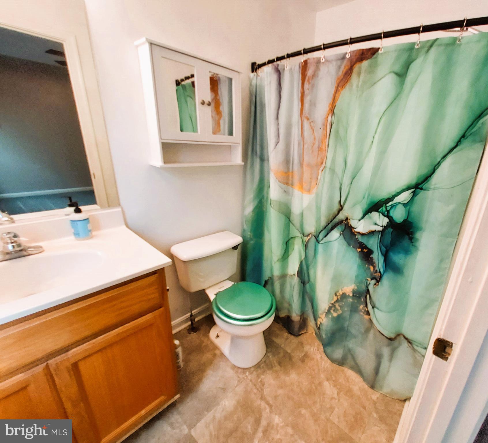 792 Ripplebrook Drive Culpeper, VA 22701 - Photo 5 of 12 Master bath