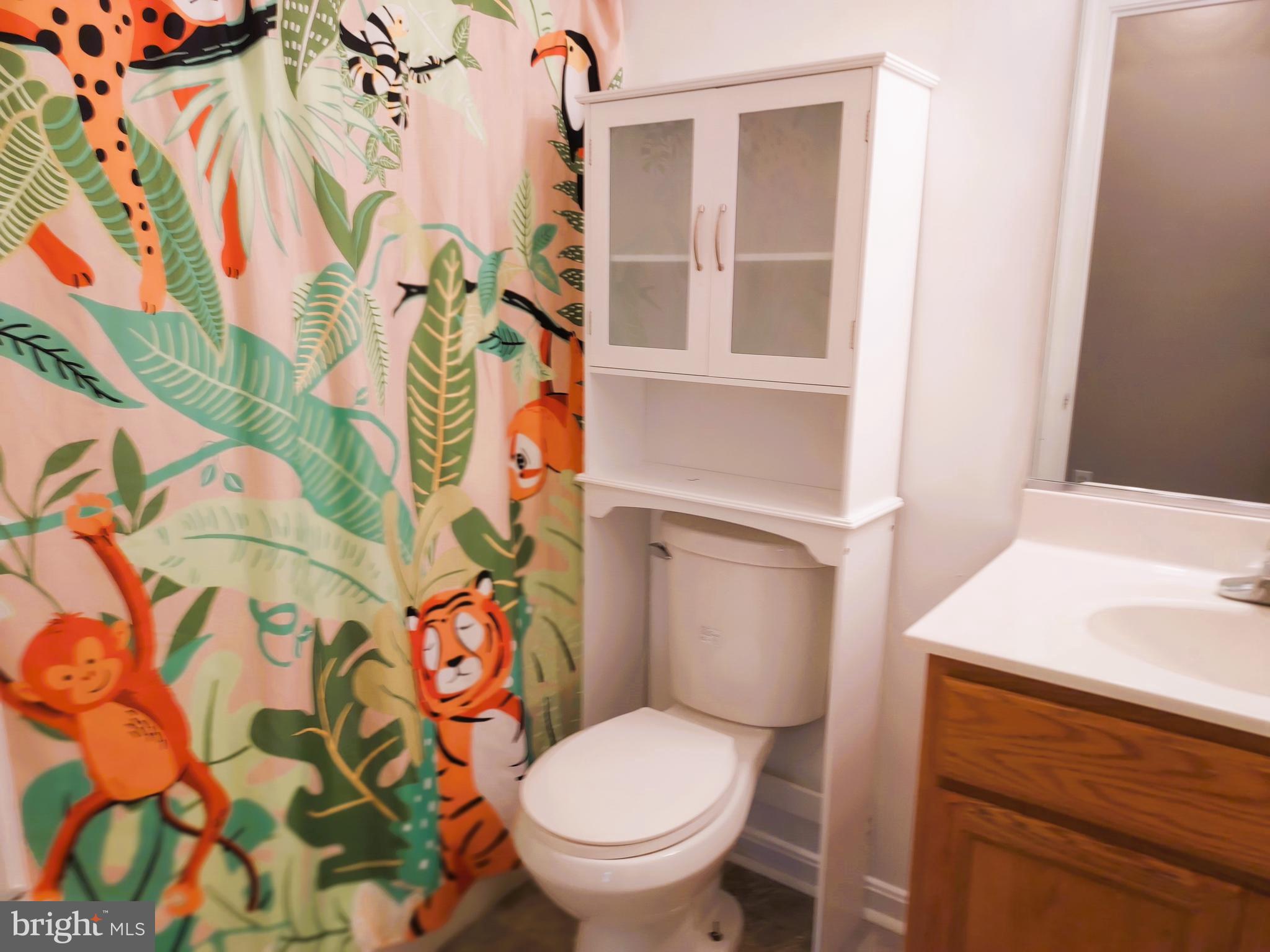 792 Ripplebrook Drive Culpeper, VA 22701 - Photo 7 of 12 Hall bath