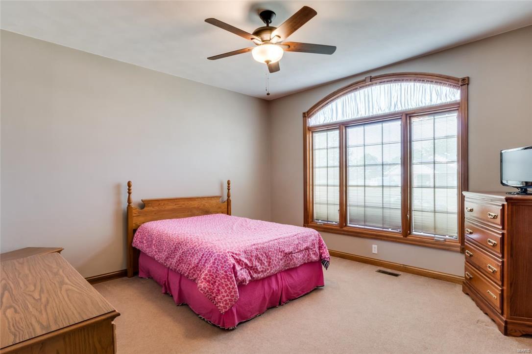 304 Thomas Lane Waterloo, IL 62298 - Photo 29 of 55