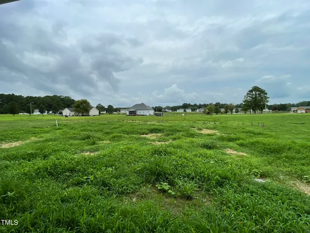 a view of a grassy field with trees