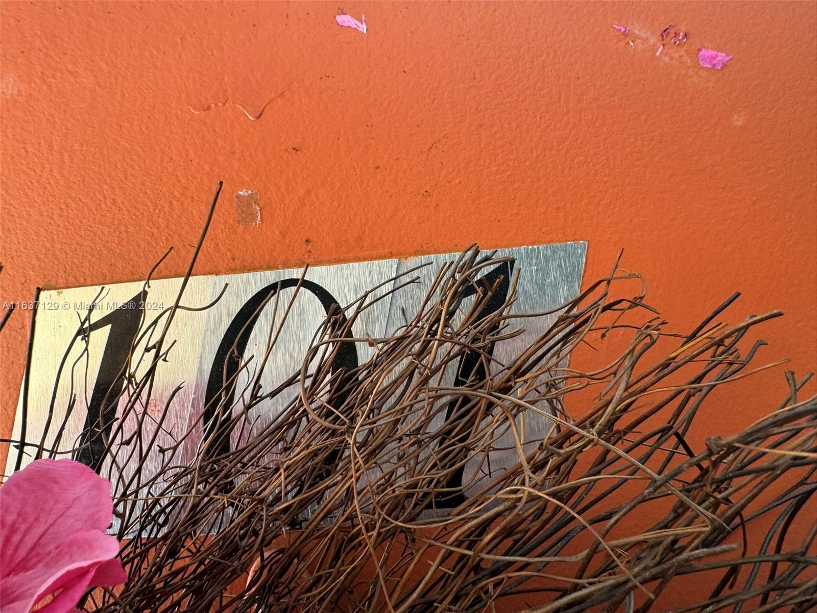 231 East 7th Street Hialeah, FL 33010 - Photo 25 of 39 a view of a backyard