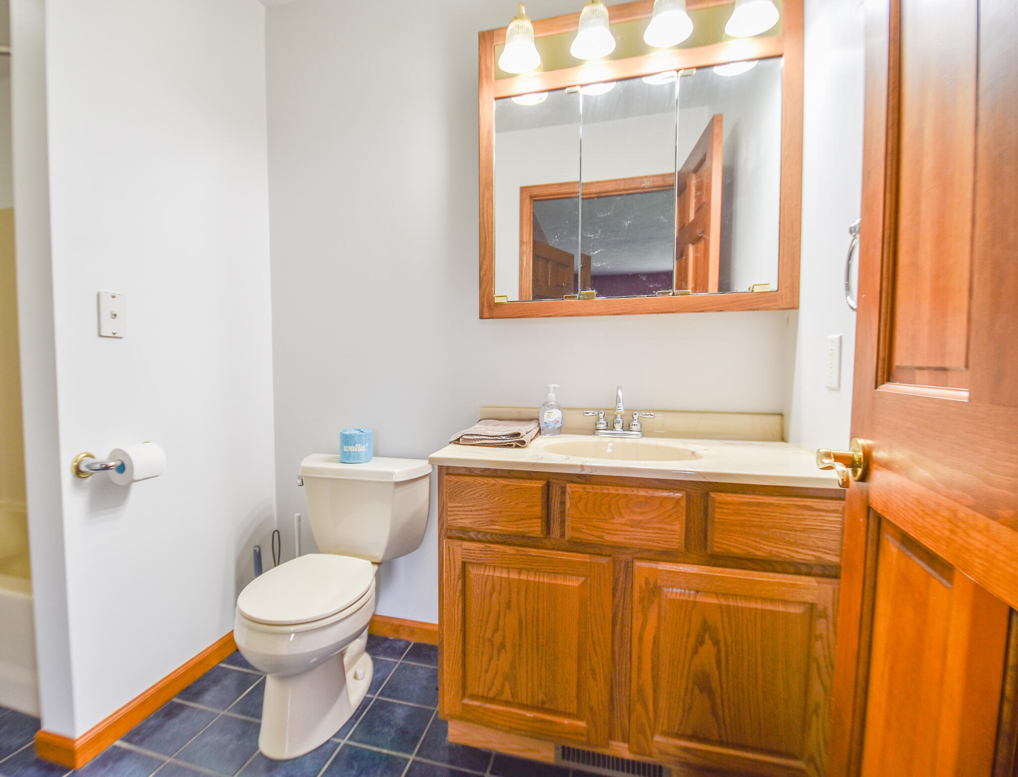 356 Jonesville Road Coldwater, MI 49036 - Photo 24 of 40 DSC_0080