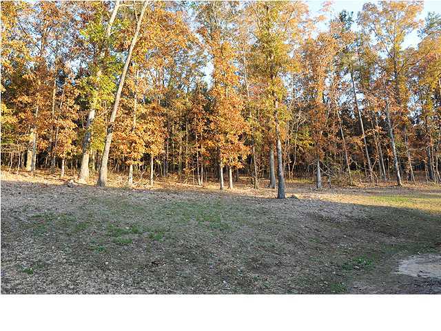 13673 Pierce Road Birchwood, TN 37308 - Photo 24 of 25 Additional Photo