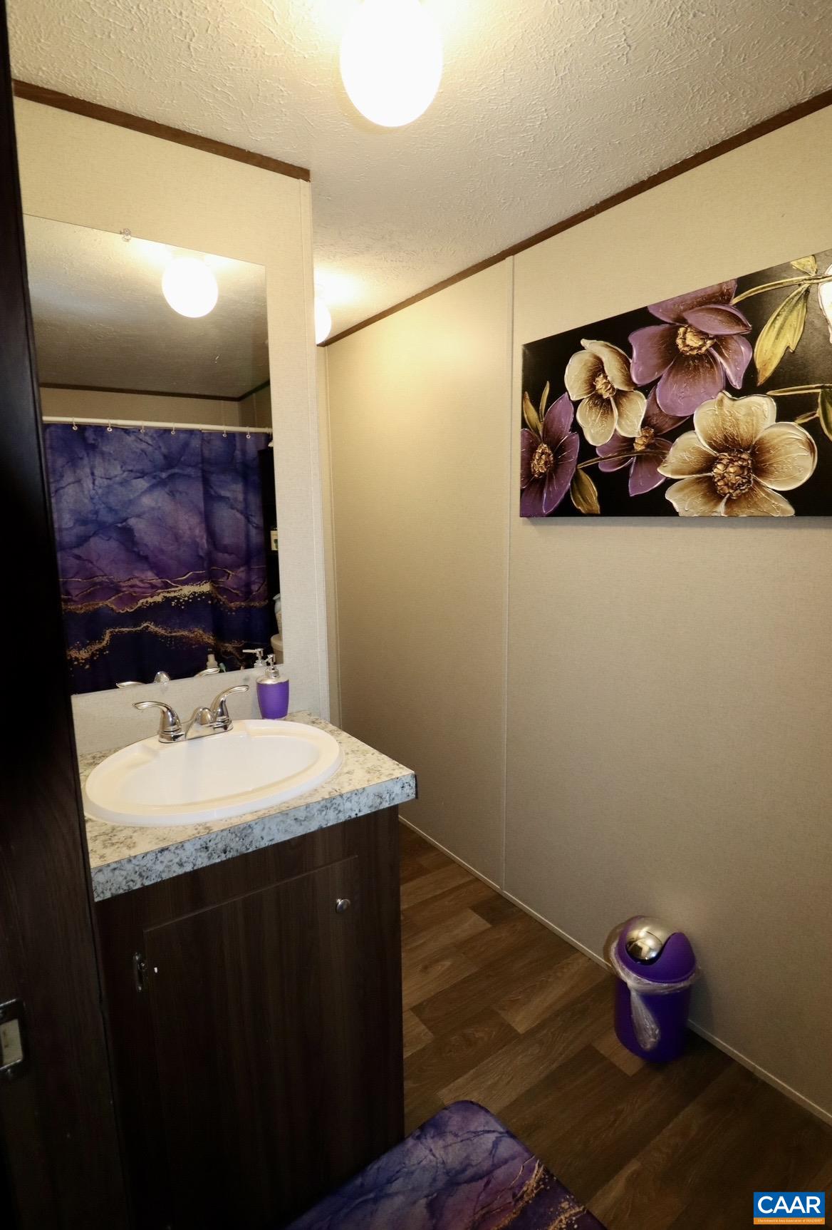 169 Old Darbytown Road Dillwyn, VA 23936 - Photo 9 of 16 Primary Bathroom