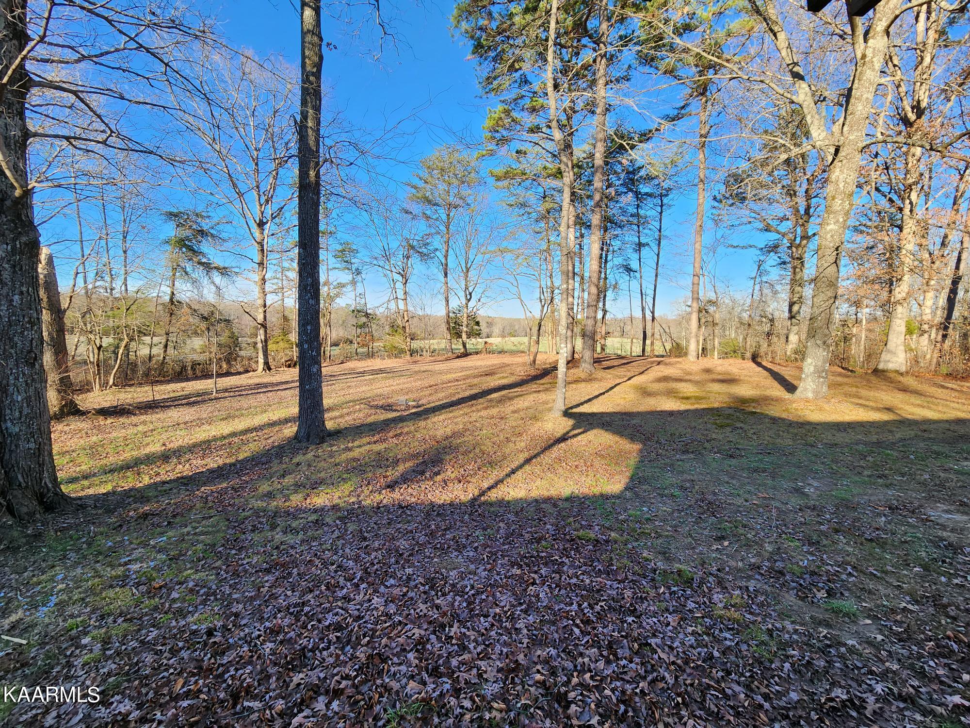 1130 Baldwin Gulf Road Clarkrange, TN 38553 - Photo 30 of 41 20221212_142754