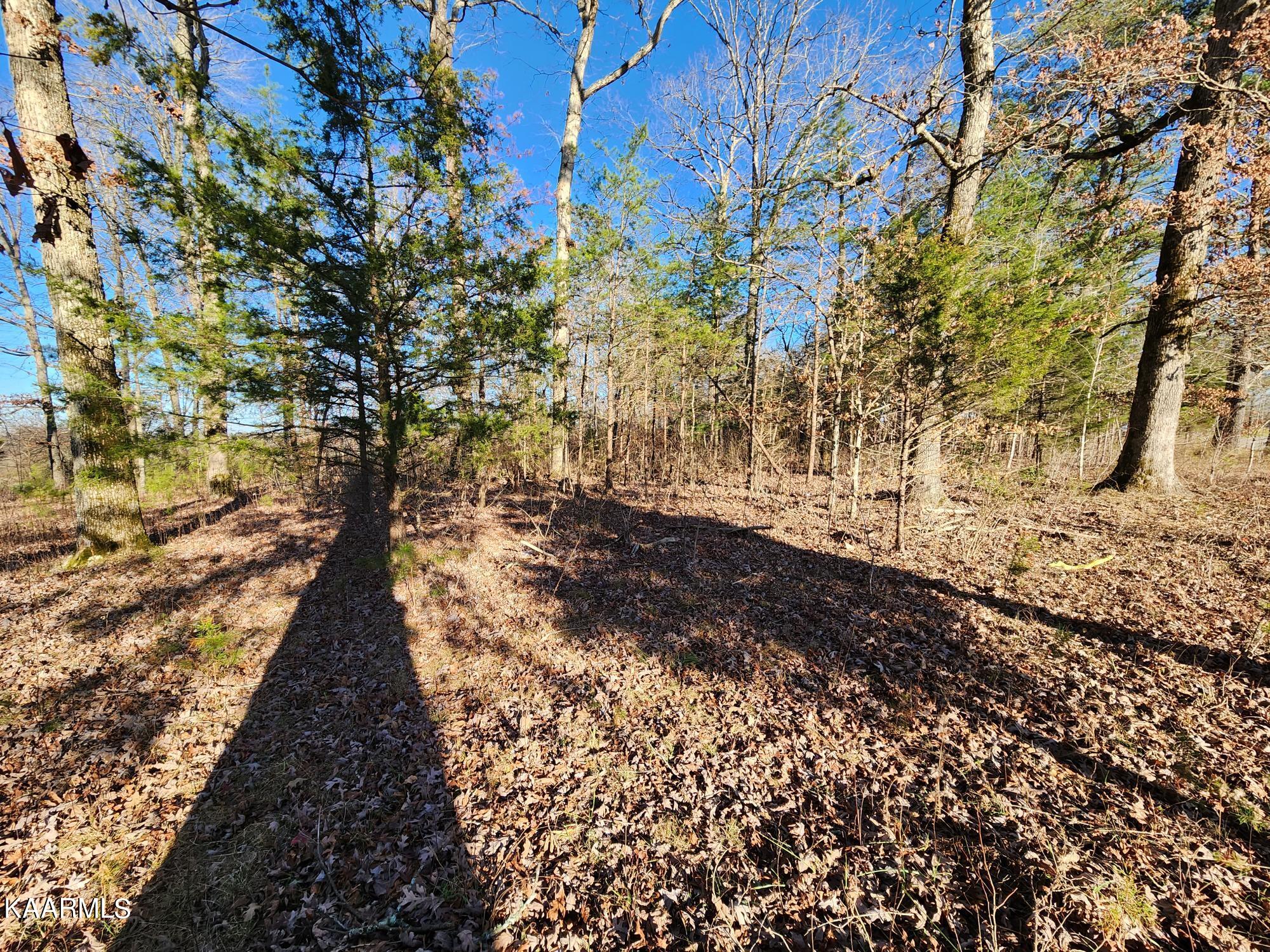 1130 Baldwin Gulf Road Clarkrange, TN 38553 - Photo 31 of 41 20221212_144054
