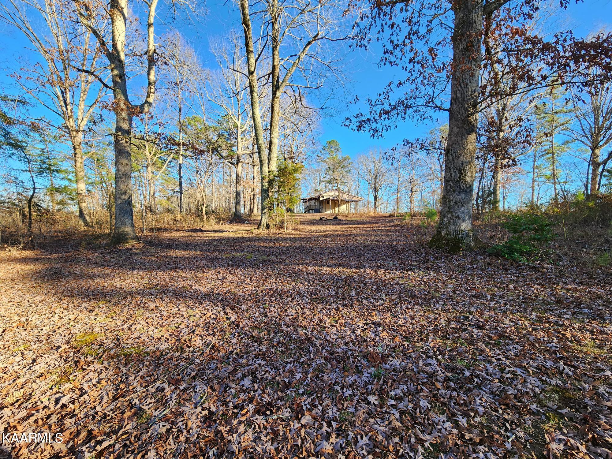 1130 Baldwin Gulf Road Clarkrange, TN 38553 - Photo 32 of 41 20221212_143733