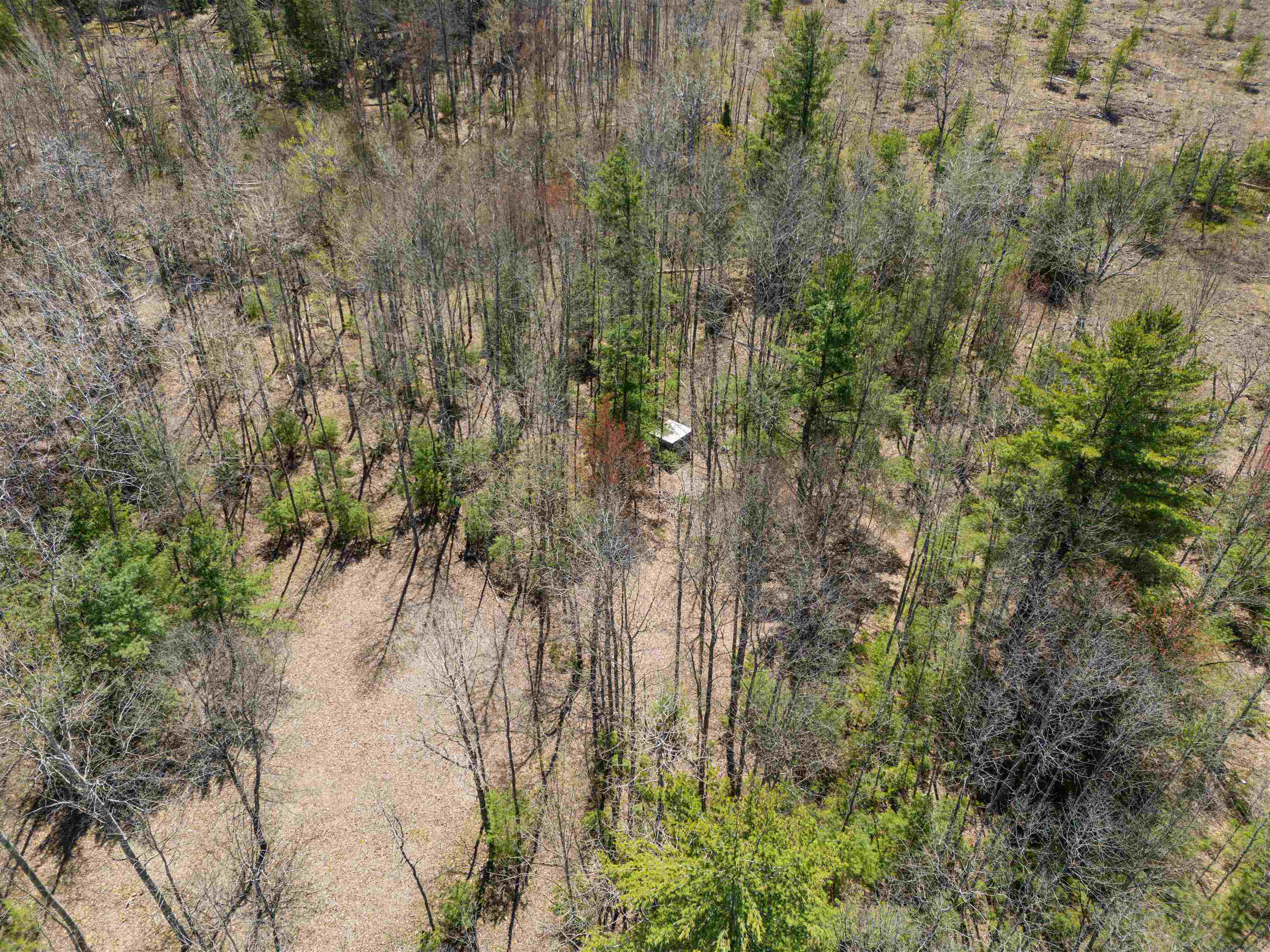 Vl Kolarvic Road Manton, MI 49663 - Photo 8 of 28