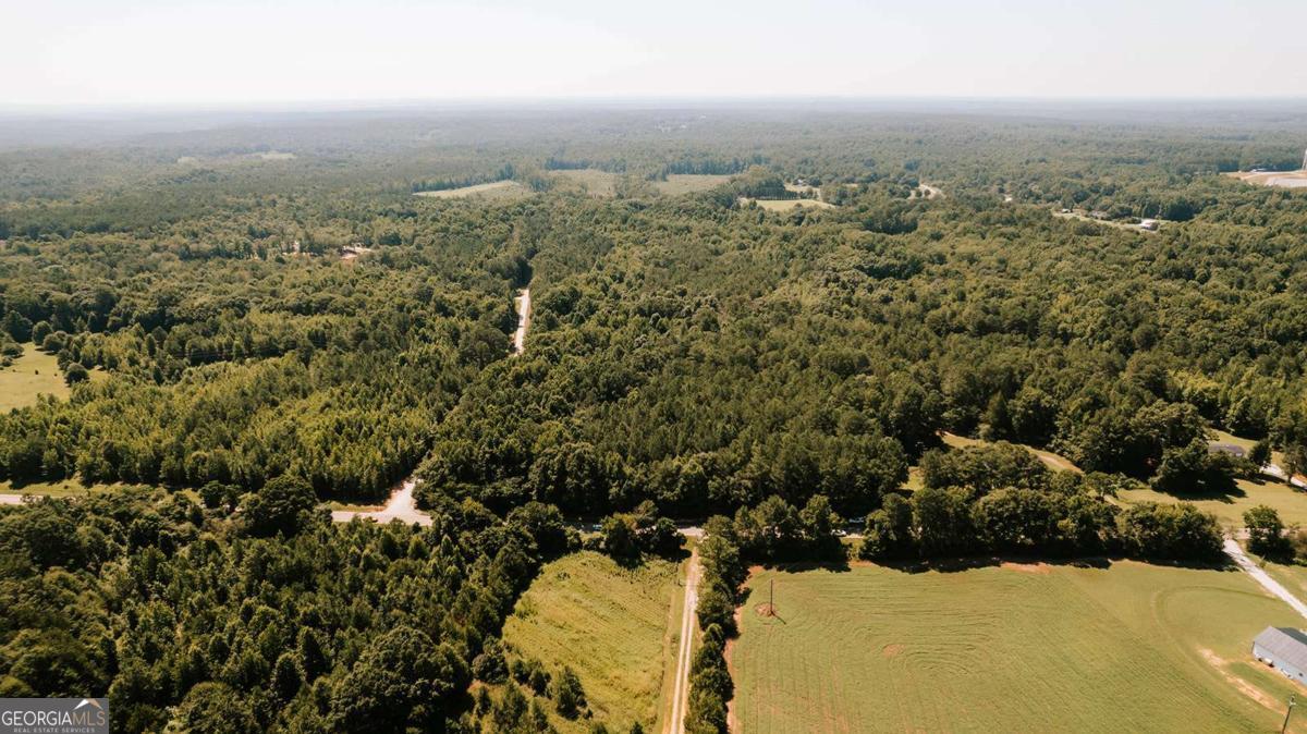 0 Lexington-Carlton Road Lexington, GA 30648 - Photo 20 of 20