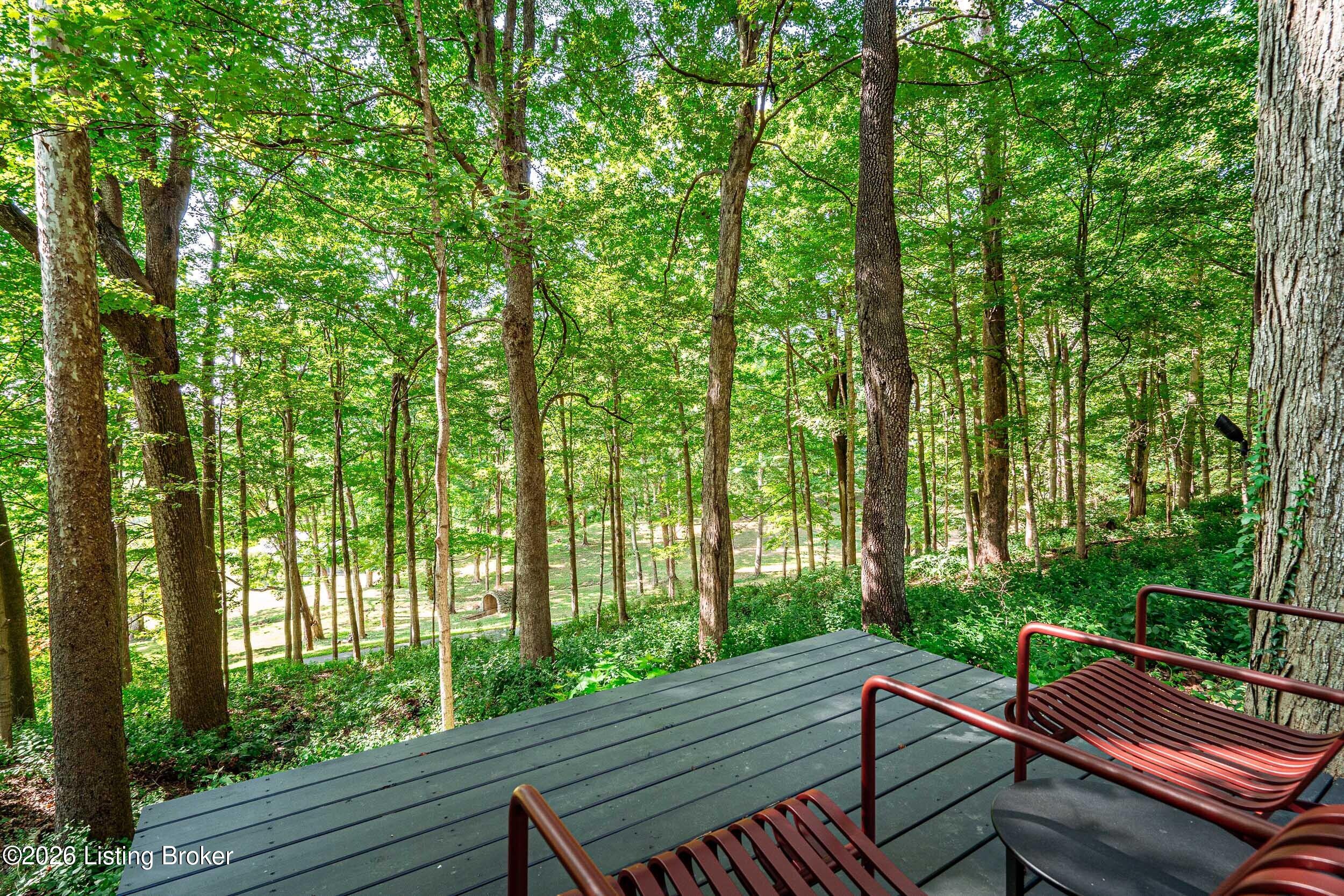7909 Rose Island Road Prospect, KY 40059 - Photo 95 of 108 7909 Rose Island Road-35