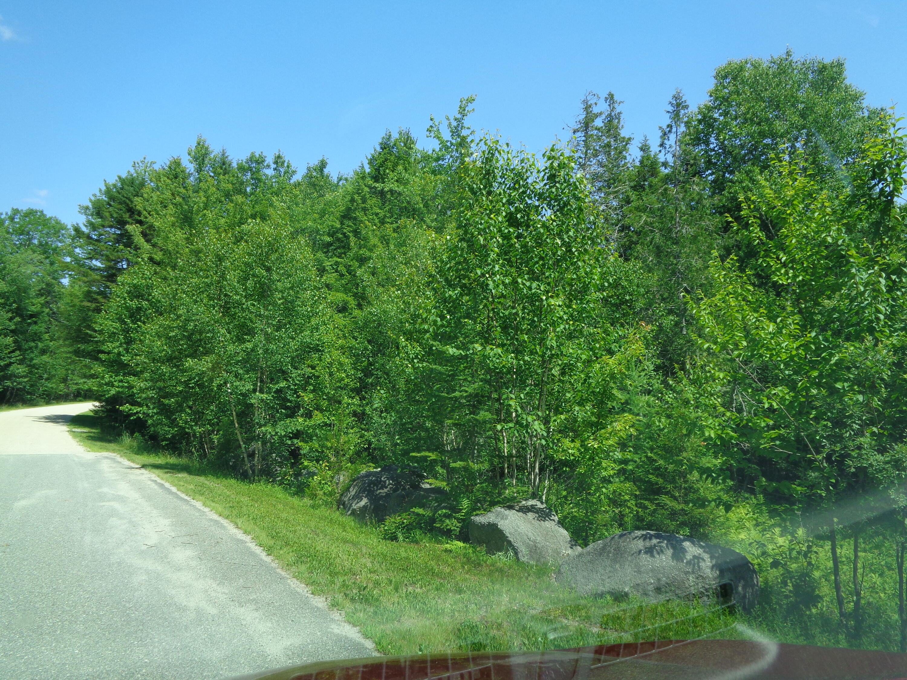 Map6-20 Bailey Mountain Road, Unit 66AC Franklin, ME 04634 - Photo 11 of 16 View along road