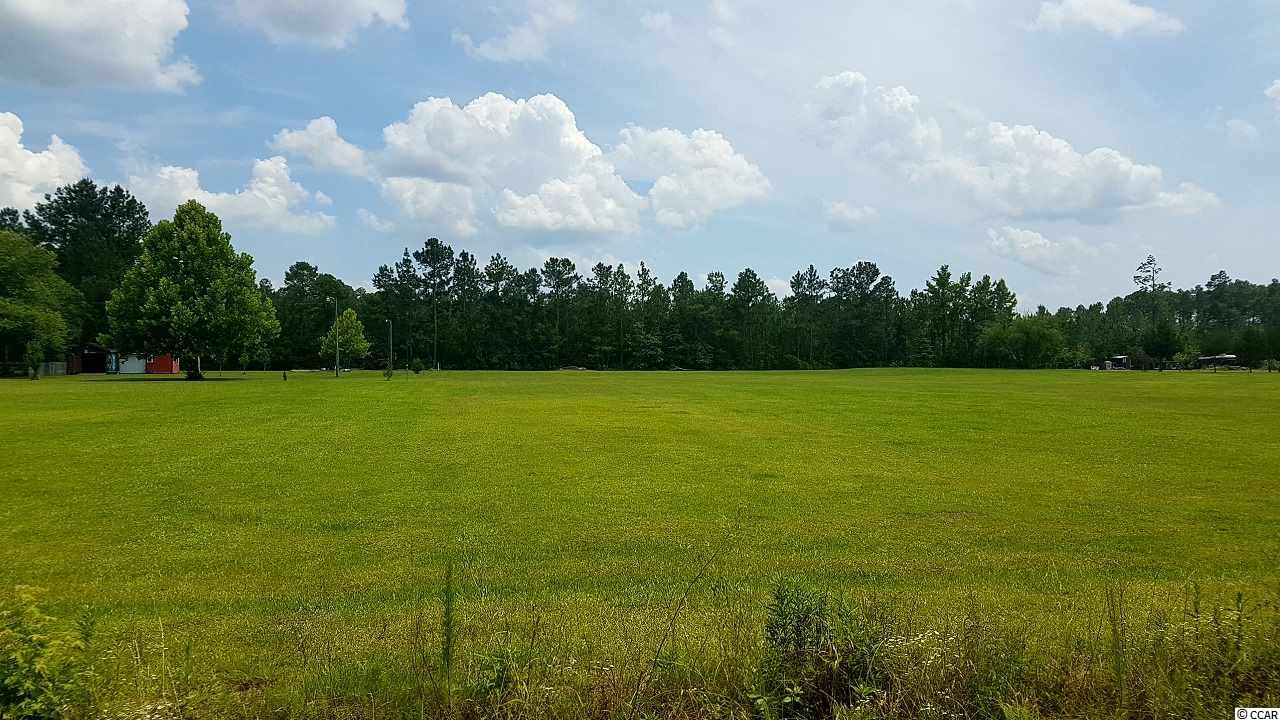 Tbd Tbd Horse Pen Bay Road Aynor, SC 29511 - Photo 3 of 5 Gallery Image 3