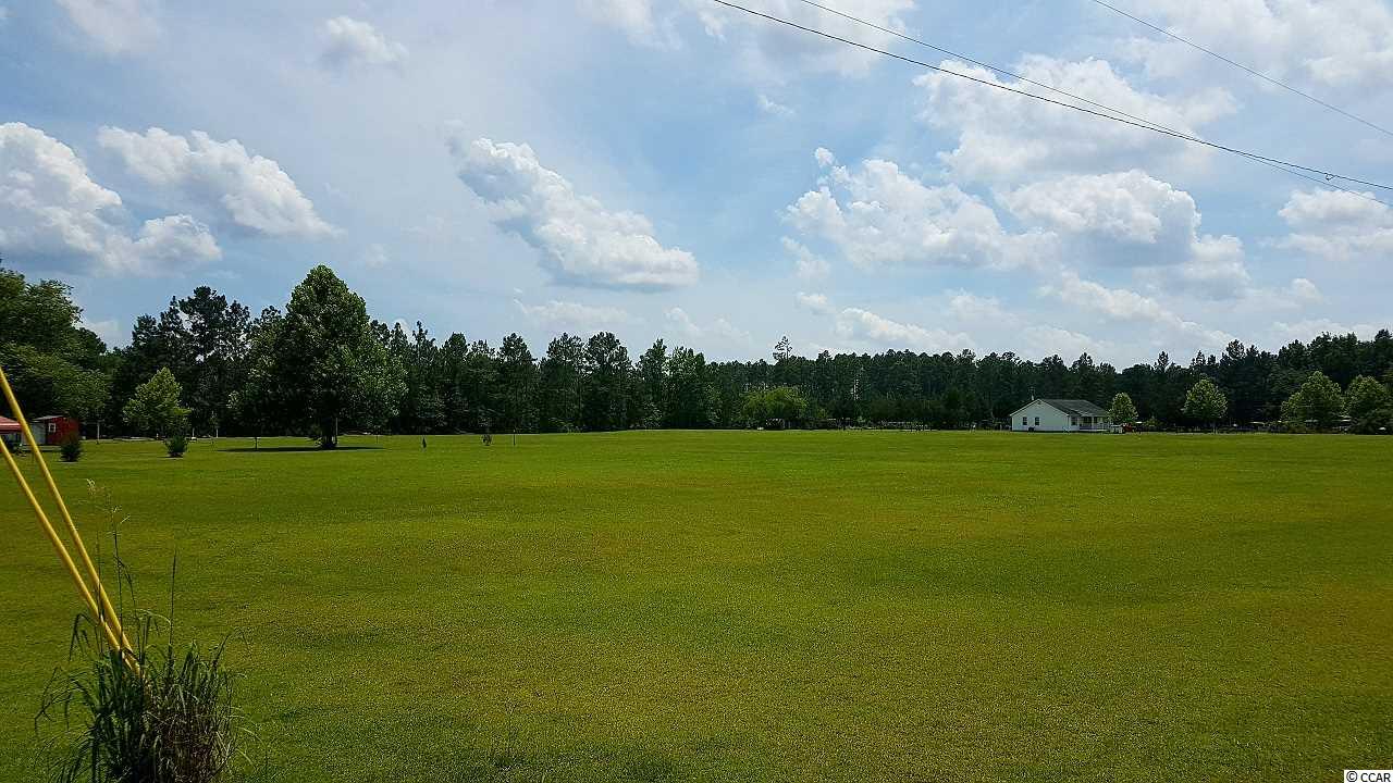 Tbd Tbd Horse Pen Bay Road Aynor, SC 29511 - Photo 4 of 5 Gallery Image 4