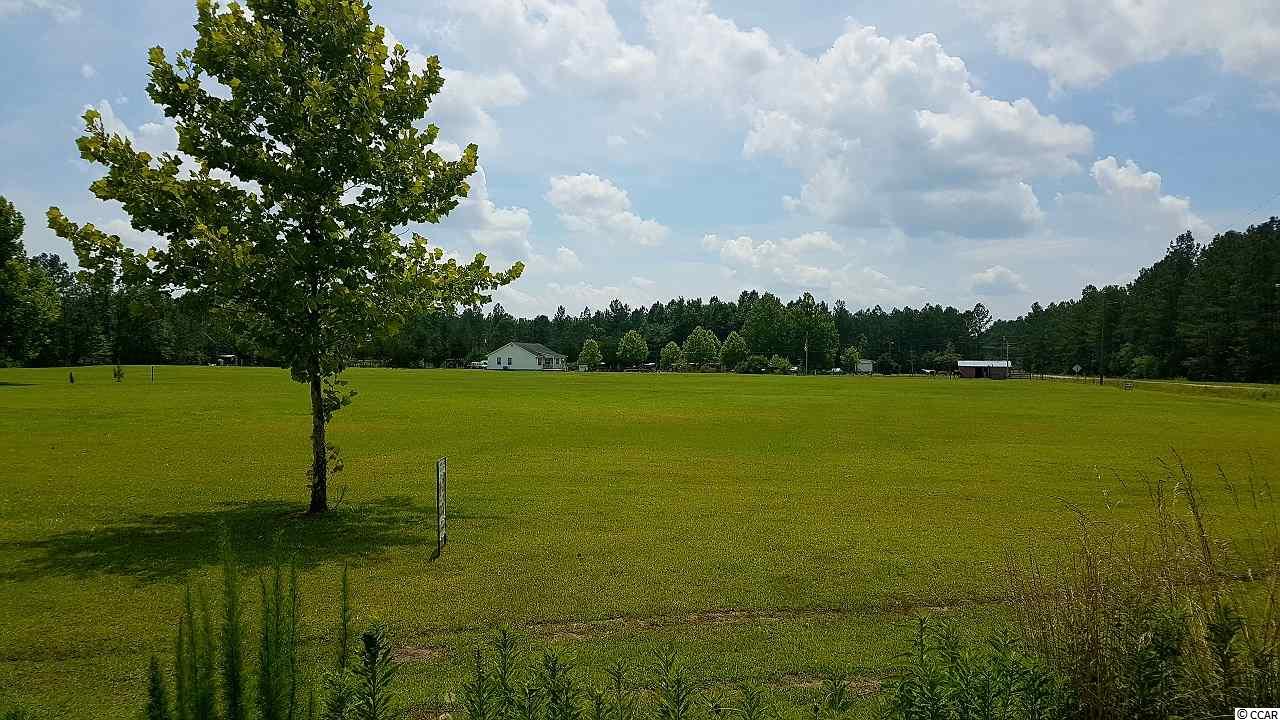 Tbd Tbd Horse Pen Bay Road Aynor, SC 29511 - Photo 5 of 5 Gallery Image 5