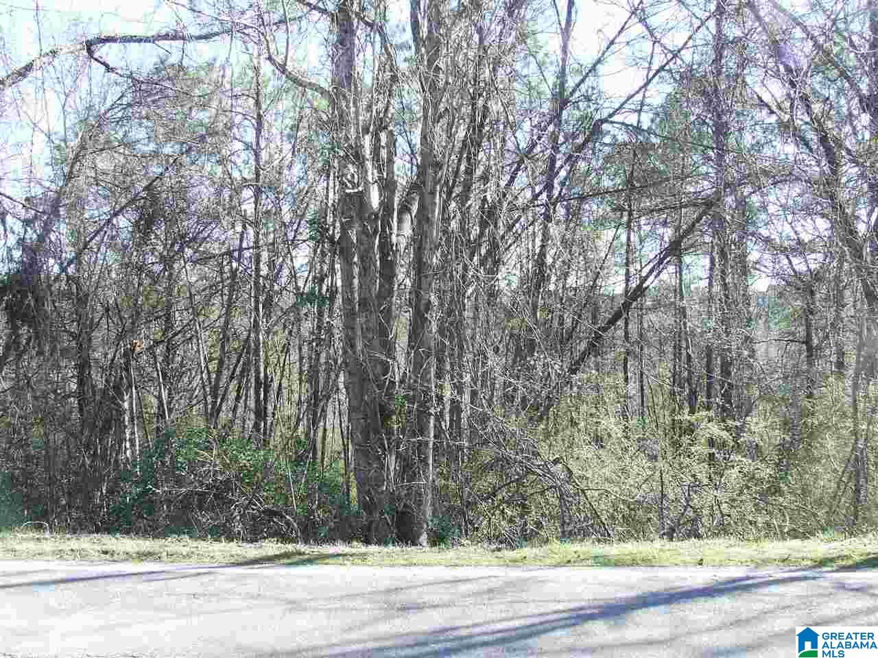 3712 Parkwood Road Southeast Bessemer, AL 35022 - Photo 2 of 3