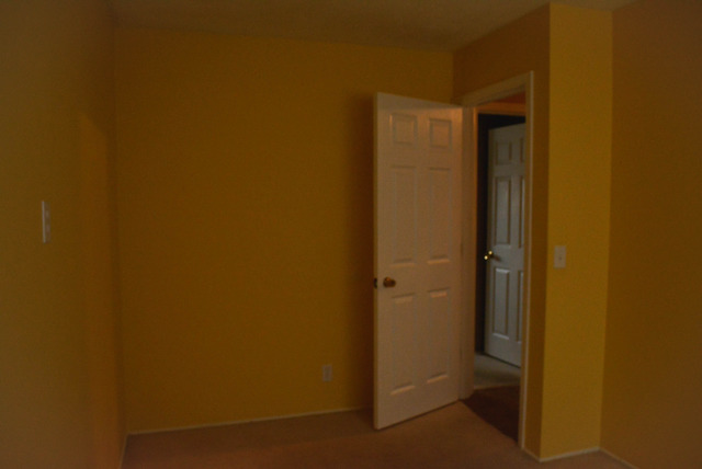 53 Sierra Road Montgomery, IL 60538 - Photo 16 of 25