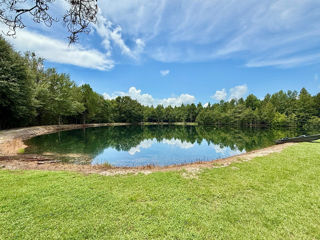 1640 Lafollette Road Slocomb, AL 36375 - Photo 14 of 64