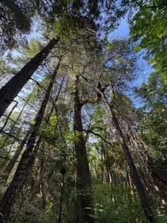 36435 Ditch Creek Road, Unit 204 Rogue River, OR 97537 - Photo 11 of 12 IMG_4715