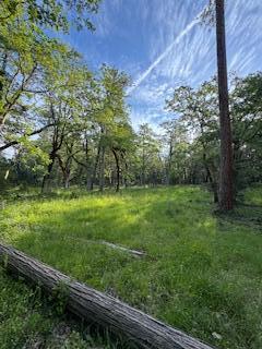 36435 Ditch Creek Road, Unit 204 Rogue River, OR 97537 - Photo 5 of 12 IMG_4717