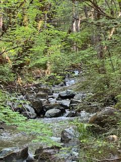 36435 Ditch Creek Road, Unit 204 Rogue River, OR 97537 - Photo 8 of 12 IMG_4713