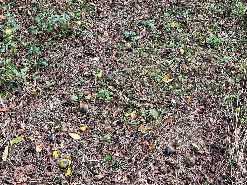 71330 Old Twenty One Road Kimbolton, OH 43749 - Photo 30 of 49