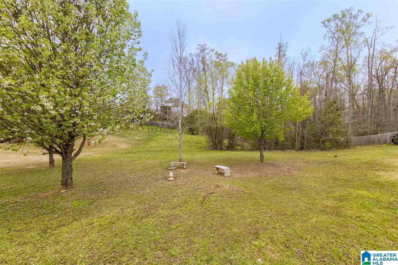 8229 Serene Lake Road McCalla, AL 35111 - Photo 36 of 48